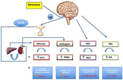 Immunopathophysiology of Juvenile Spondyloarthritis (jSpA): The “Out of the Box” View on Epigenetics, Neuroendocrine Pathways and Role of the Macrophage Migration Inhibitory Factor (MIF)